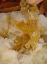 Sugar On Snow Closeup