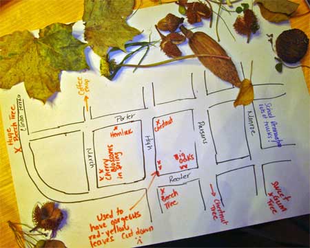 fall4 Guide to the fall hotspots in the neighborhood