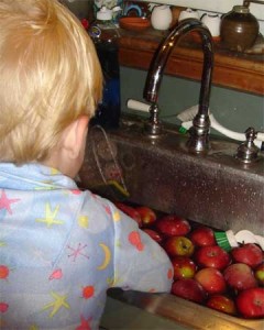 asauce2 My little apple washer.