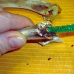 A pipe cleaner works well removing the marrow.