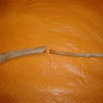 twhistle7 The flat end of the small bone goes into the large bone.