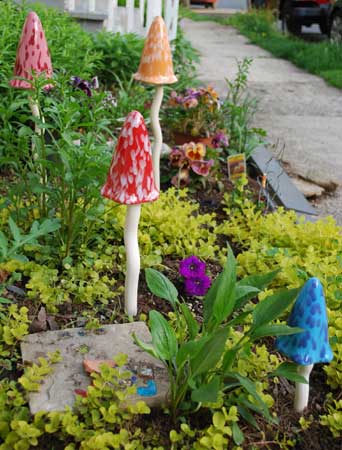 mushrooms1