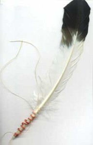 quillclass2 The porcupine quill plait, taught in Porcupine Quillwork Part 1, is wrapped around this feather.