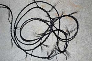 RopeHalter4 Seven feet of braided horse hair.